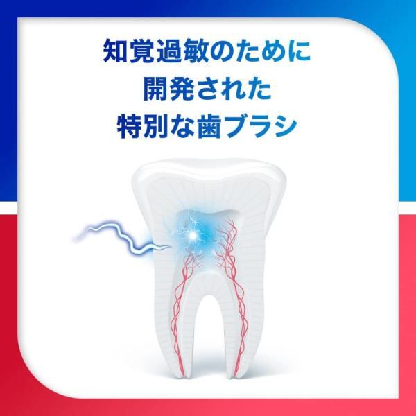 シュミテクト 歯周ダブルケアEX 歯ブラシ 知覚過敏ケア コンパクト