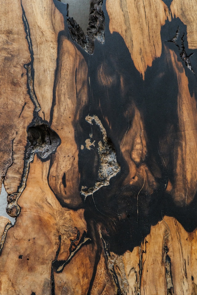 黒柿(Black persimmon KUROGAKI )