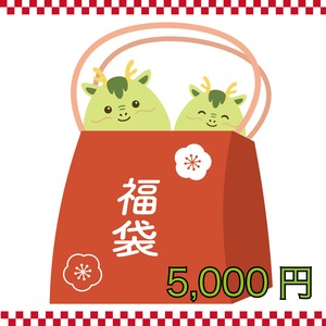 【市ノ瀬瑠莉】2024年福袋　5000円【送料無料】