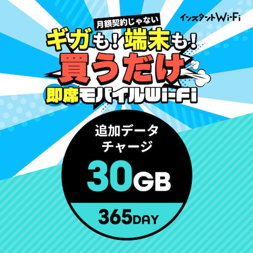 インスタントWi-Fi 追加データ 30GB 365day