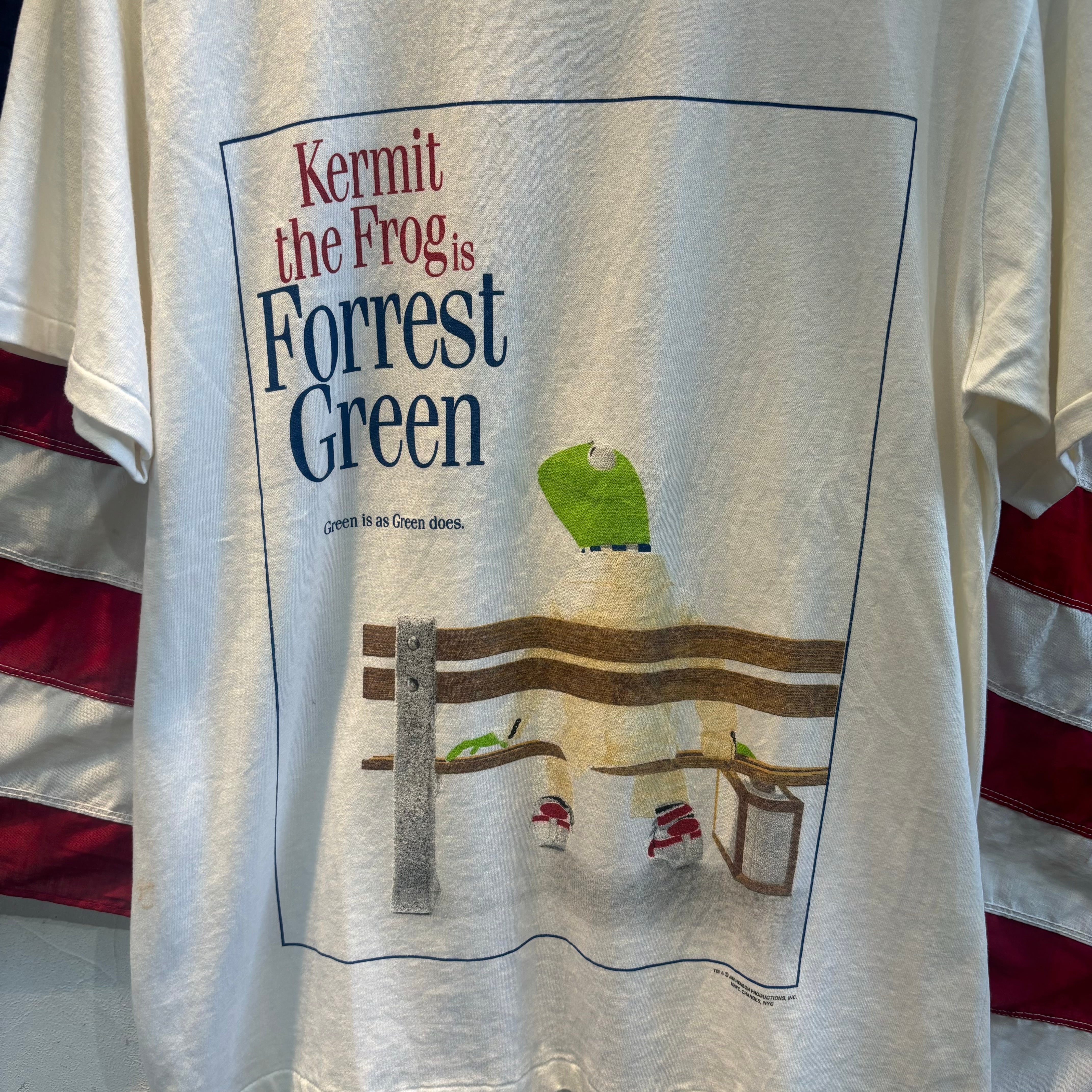 USA製 90年代 “L” Changes チェンジーズ プリントTee Kermit the Frog