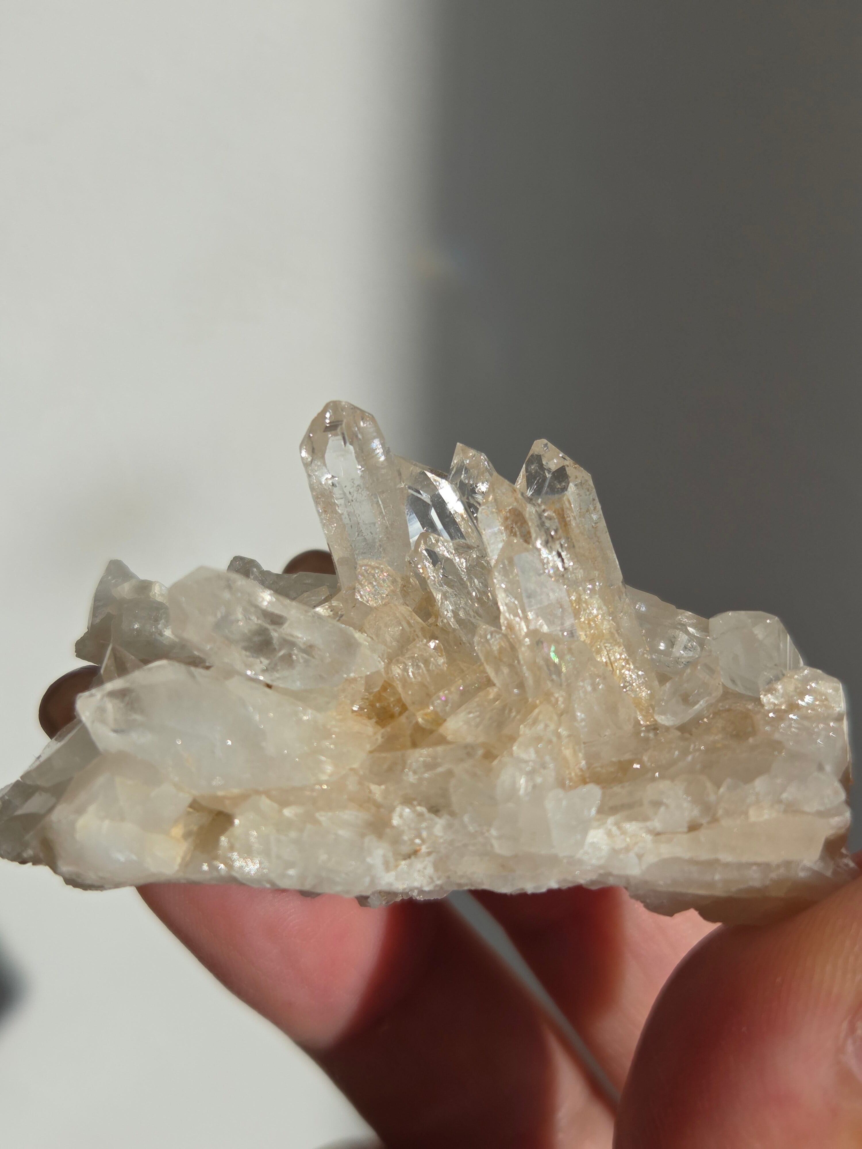 カルカンサイト | Pay ID