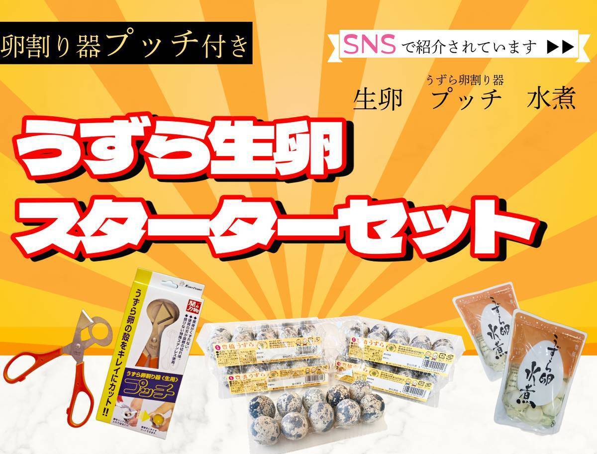 生食用殻付き鶉卵 スターターセット | 豊橋養鶉農業協同組合