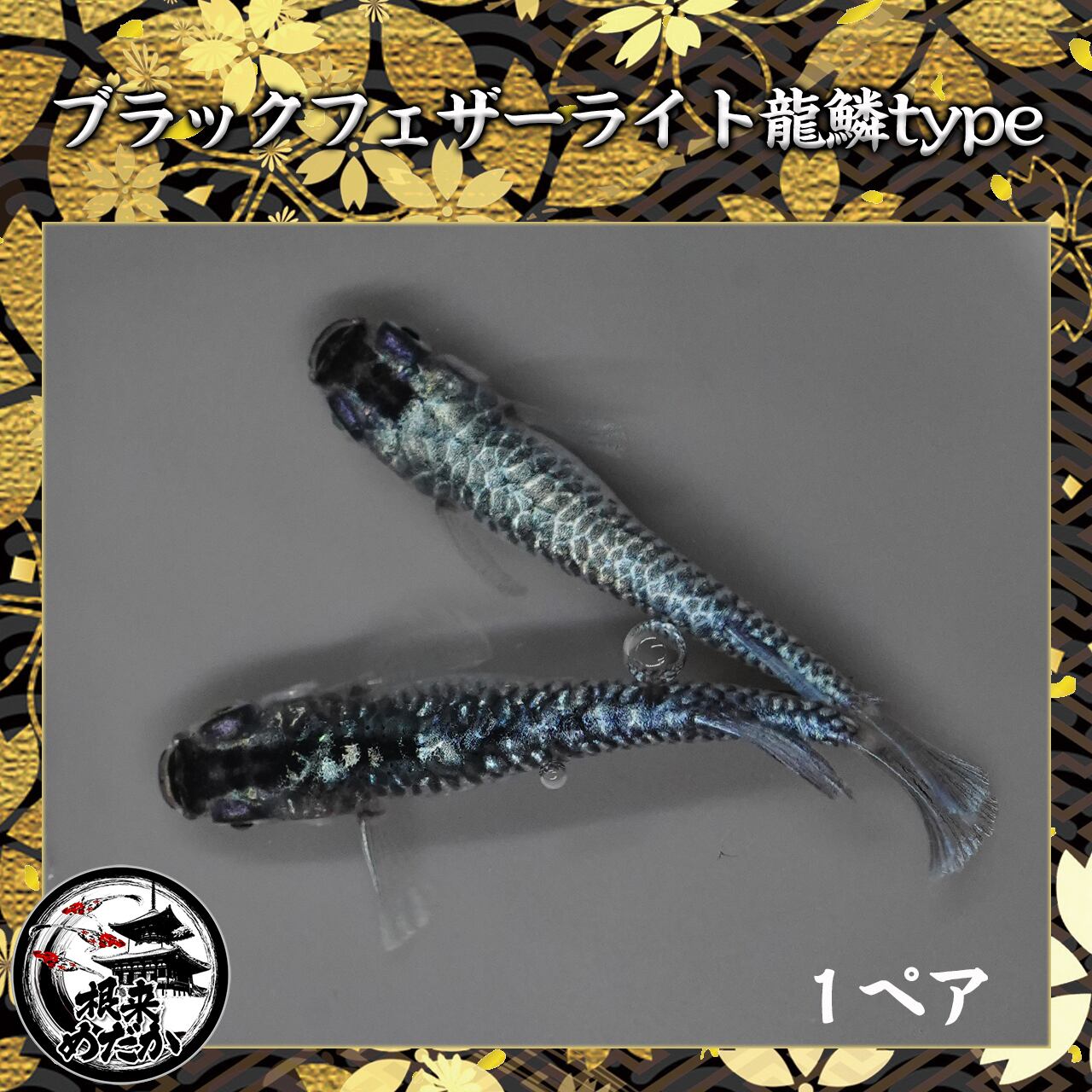 【1ペア】ブラックフェザーライト龍鱗type