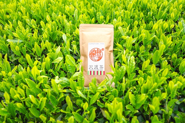 沢渡茶 煎茶　100ｇ