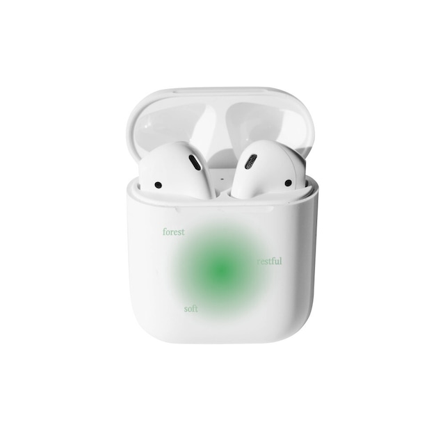 [TINY WEATHER] Cheek airpod hard case 正規品 韓国 ブランド 韓国ファッション 韓国代行  AirPodsケース