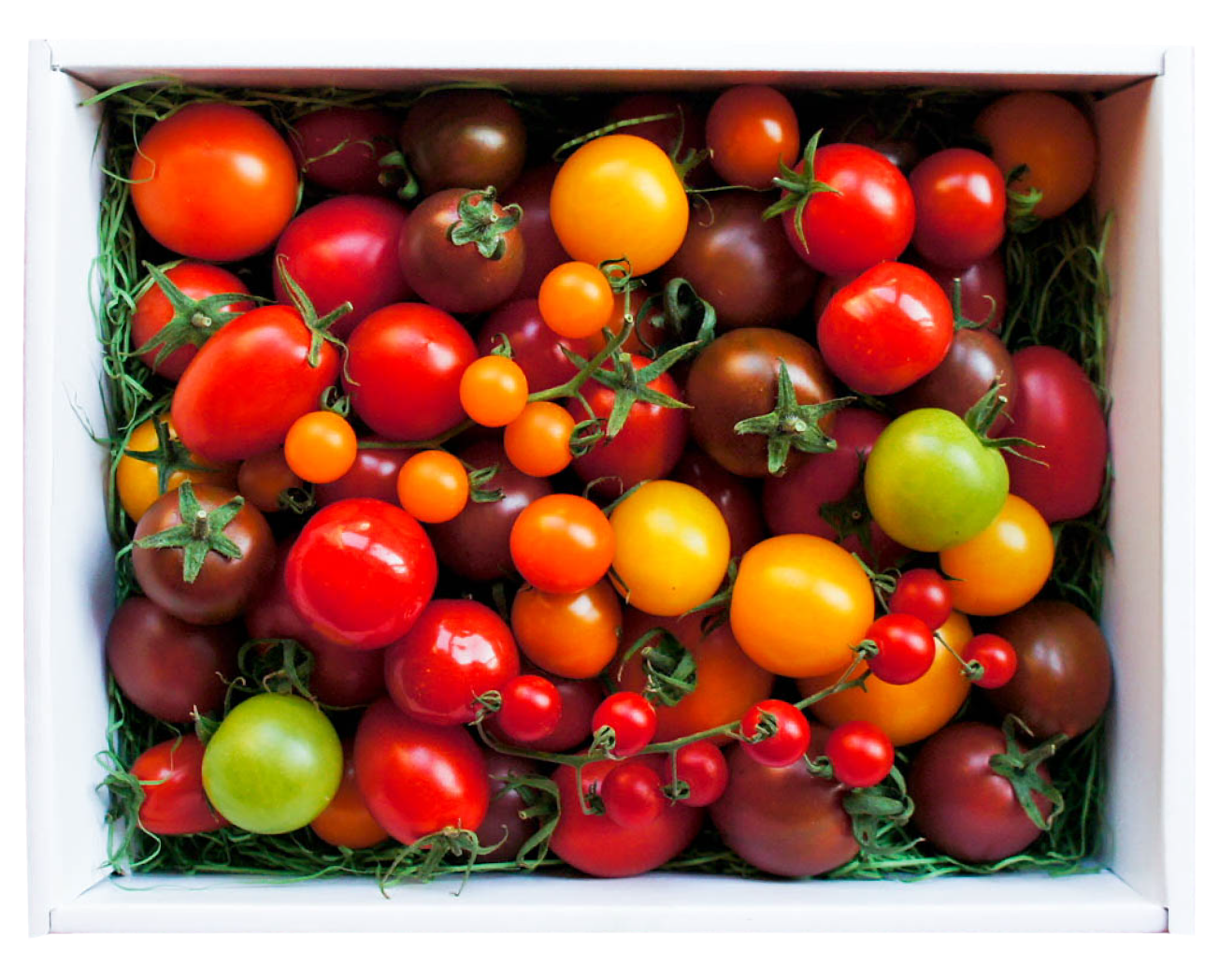 アルテminiの宝石箱☆約10種類のトマトの詰め合わせ　トマトハウスナカムラ
