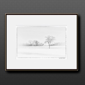 白い日 ■額縁サイズ(大全紙)726×544mm