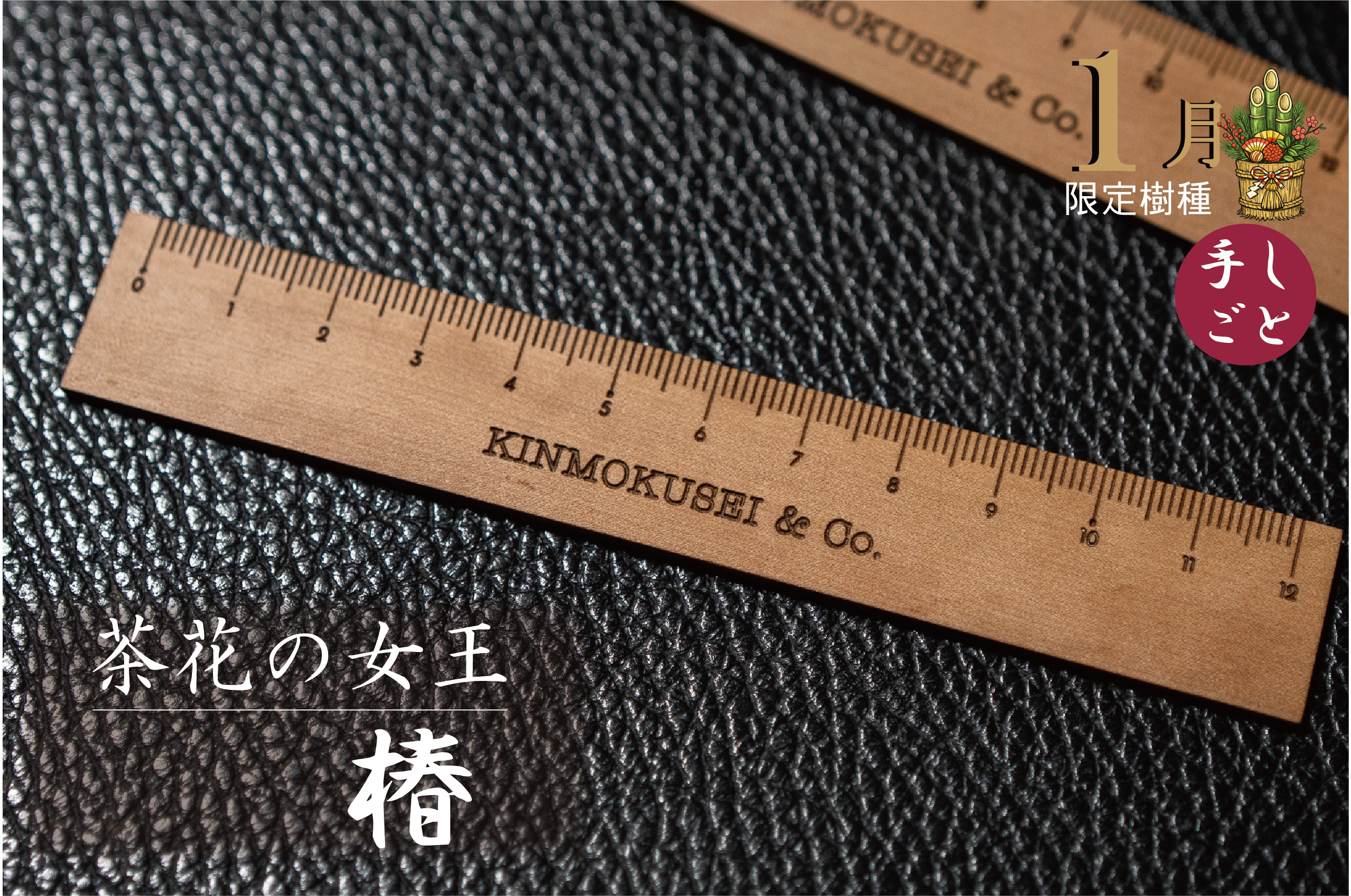 【茶花の女王】椿 1月限定 12cm