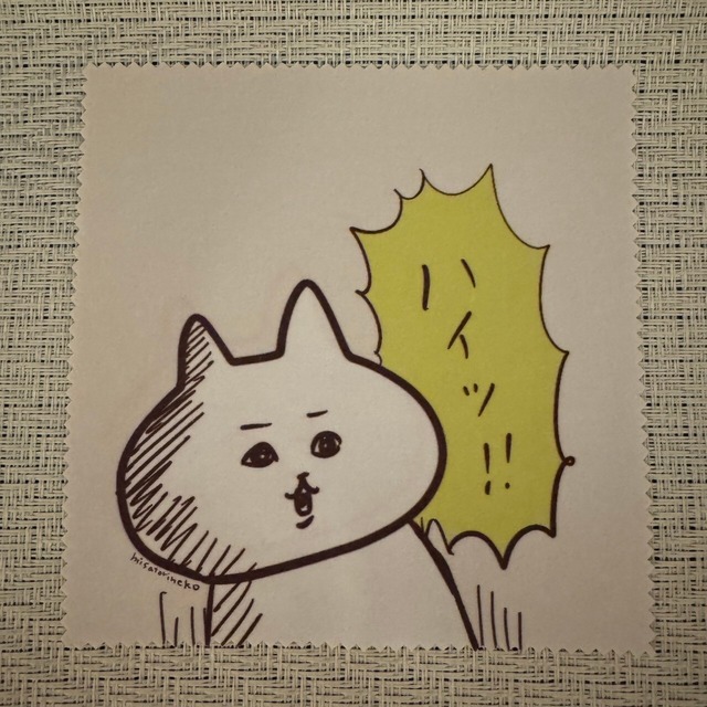 【ハイッ！】マルチクリーナー（メガネ拭き）