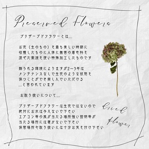 ランプシェード　お花飾り　電池式　どこにでも結ぶとつけれる 　プレゼント