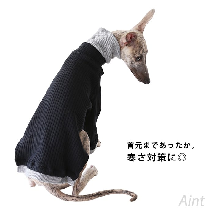 イタグレ Tシャツ ハイネック 配色切り替え 厚手 ウィペット ミニピン