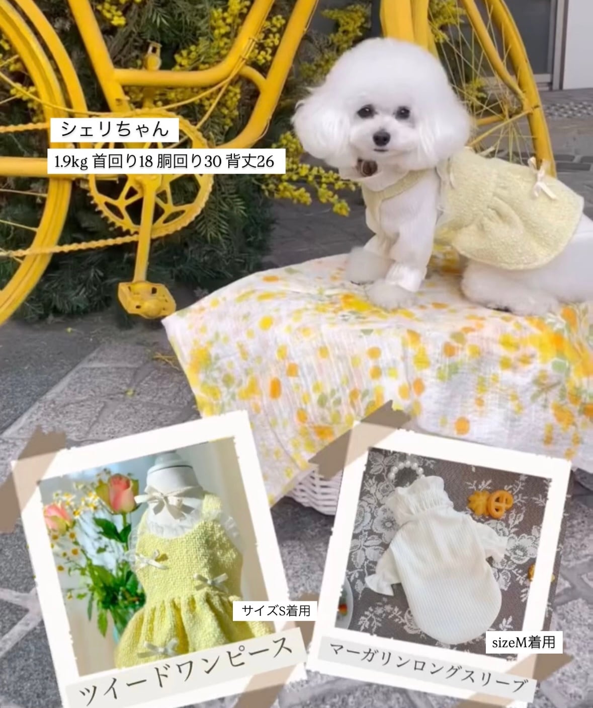 即納販売 Twinkly tweed ops ツイードワンピース ＋ブローチ3個