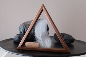 空中標本 大 - オオセグロカモメの羽