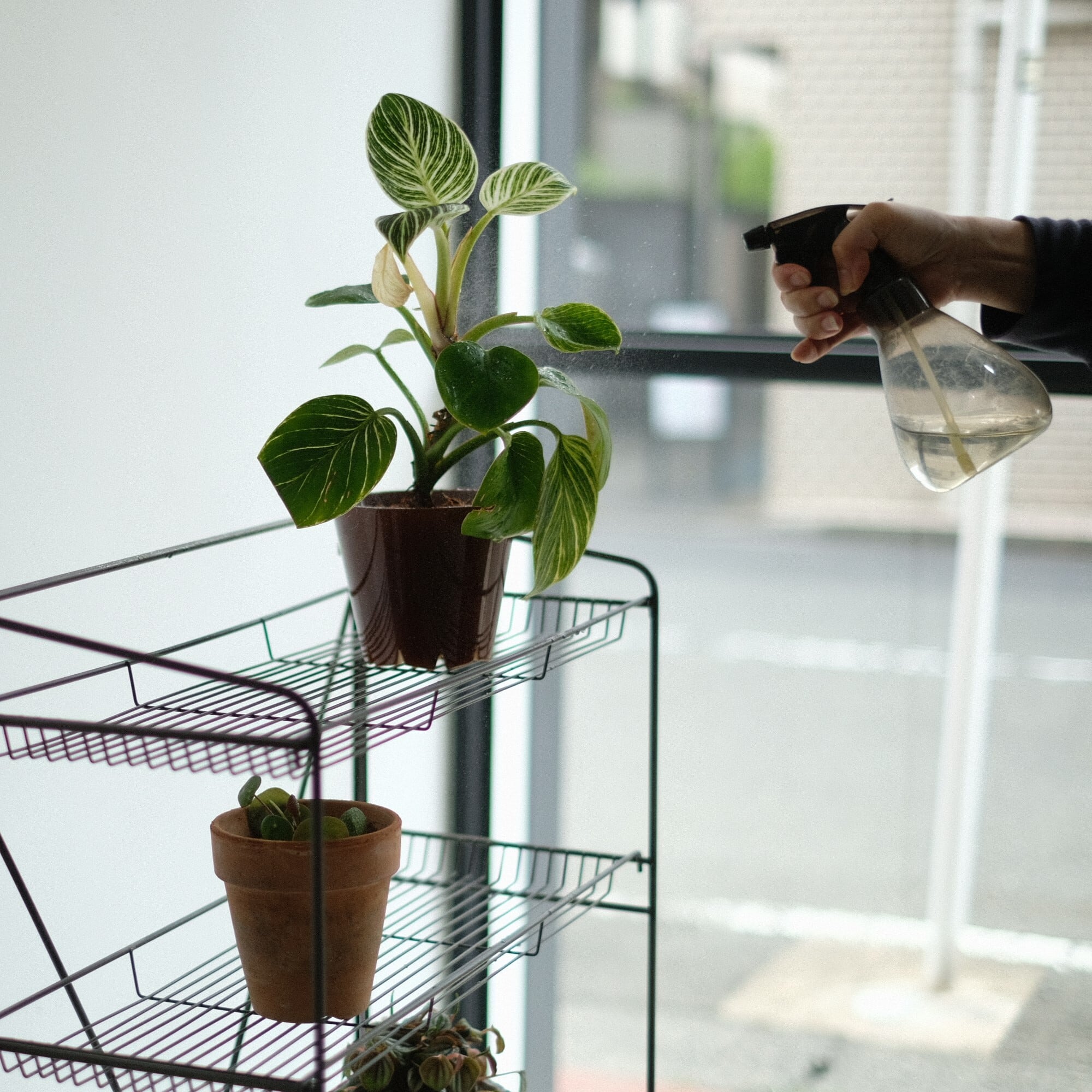 HABANA Folding Shelf（LL) | WEST VILLAGE TOKYO