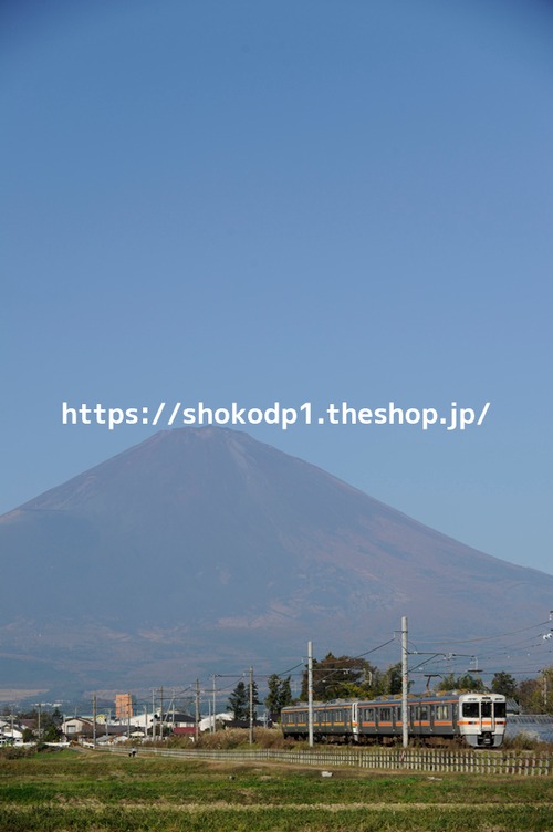 313系と富士山_DSC7898