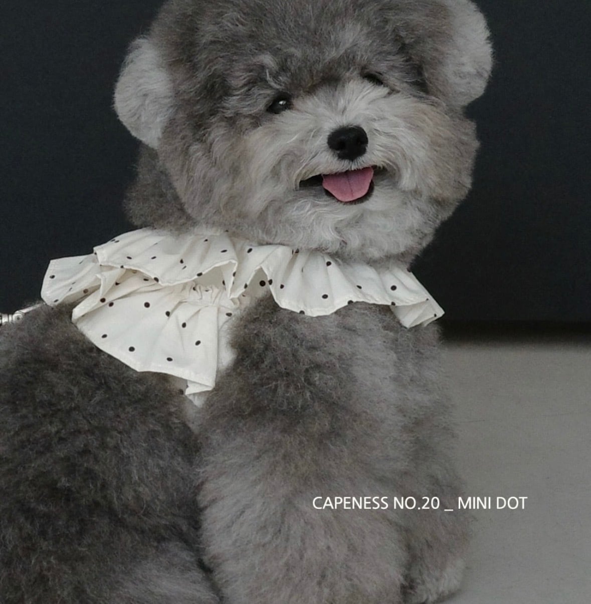 OHDIBS】 | ropet