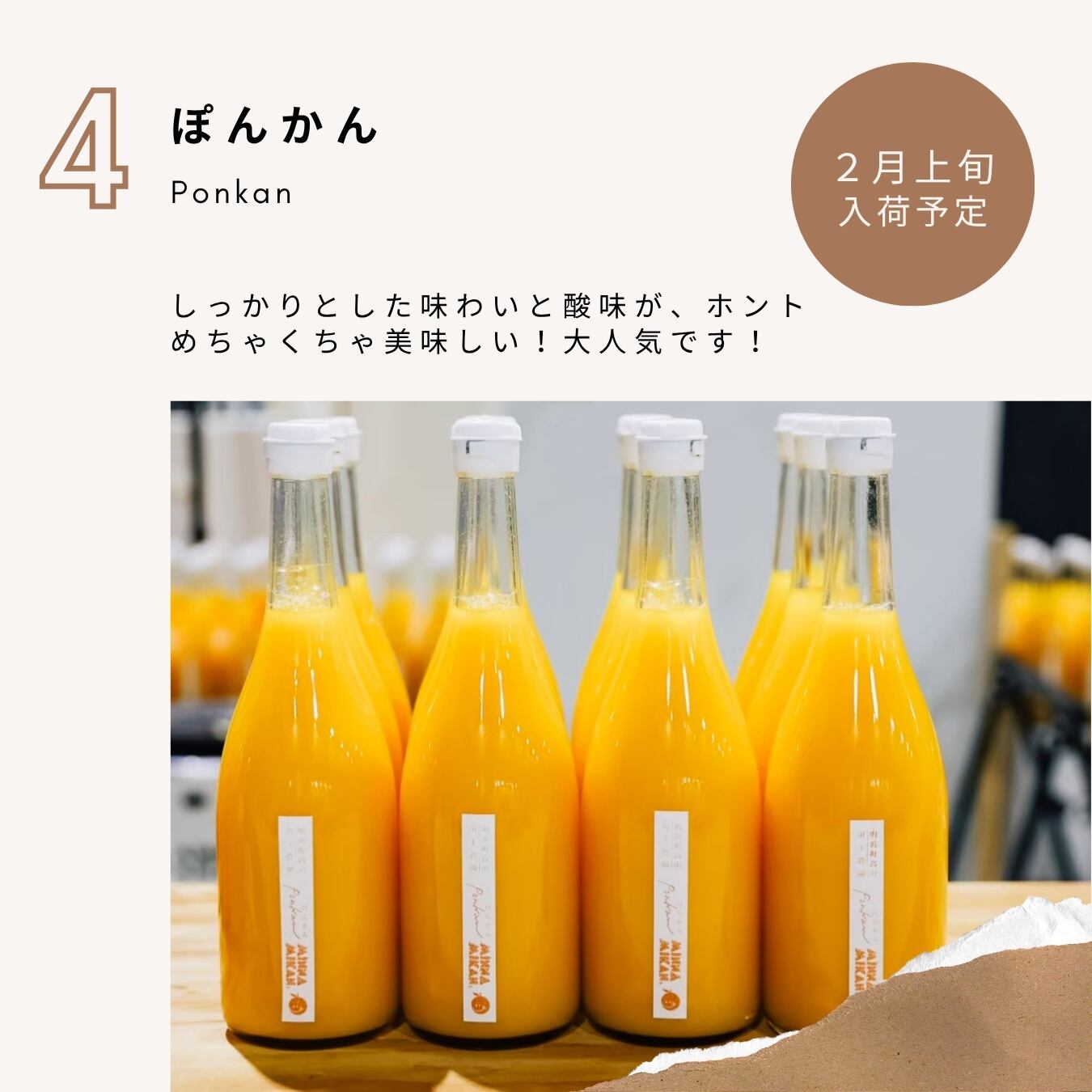 予約START>2月上旬入荷「ぽんかん」