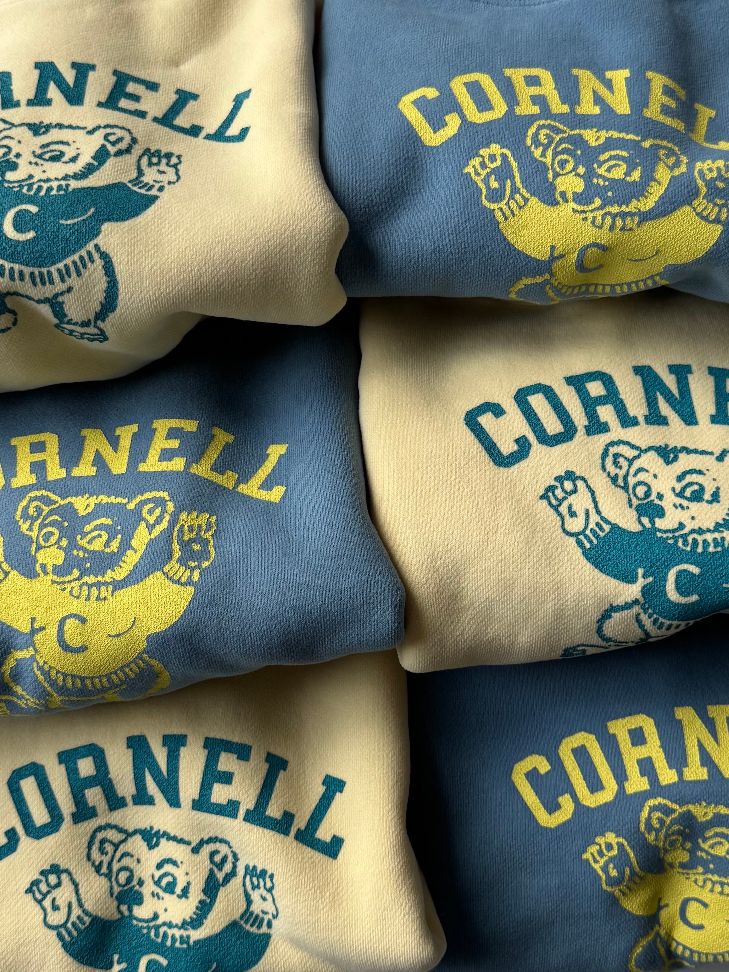 裏起毛 CORNELL mtm(80〜150cm)4269