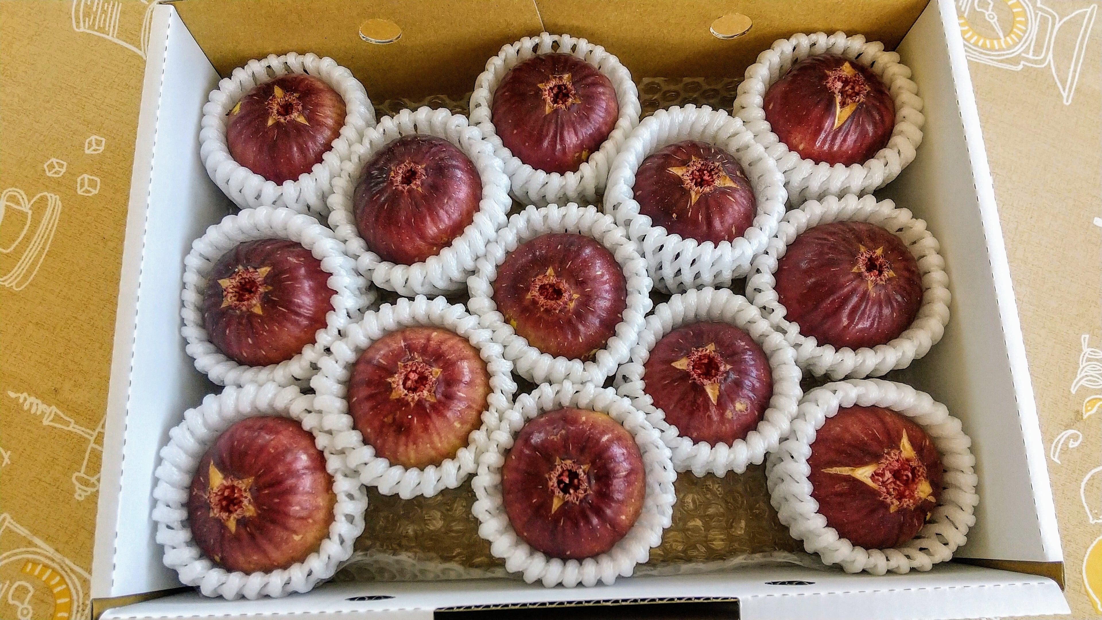 自家栽培・産地直送》甘くて美味しい完熟いちじく 桝井ドーフィン 13