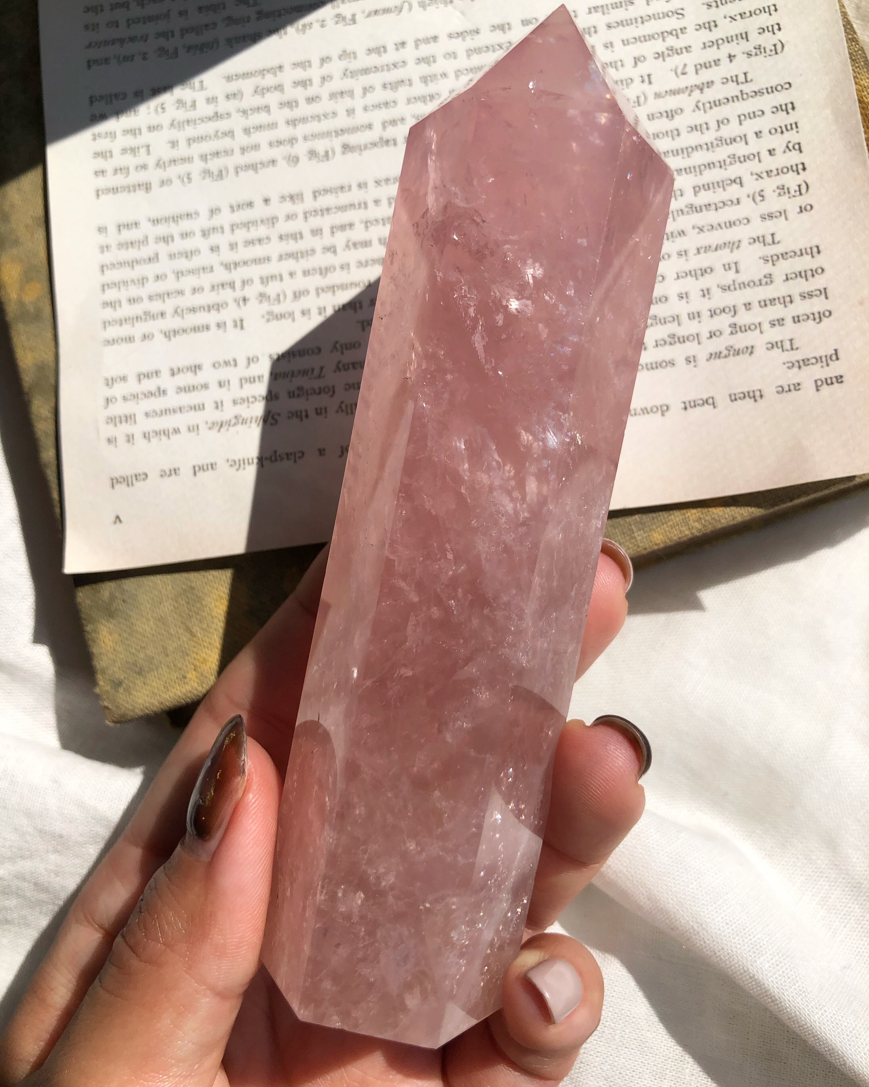 買い取り アマゾン ストーン ビッグユニコーン ドゥルージー asakusa