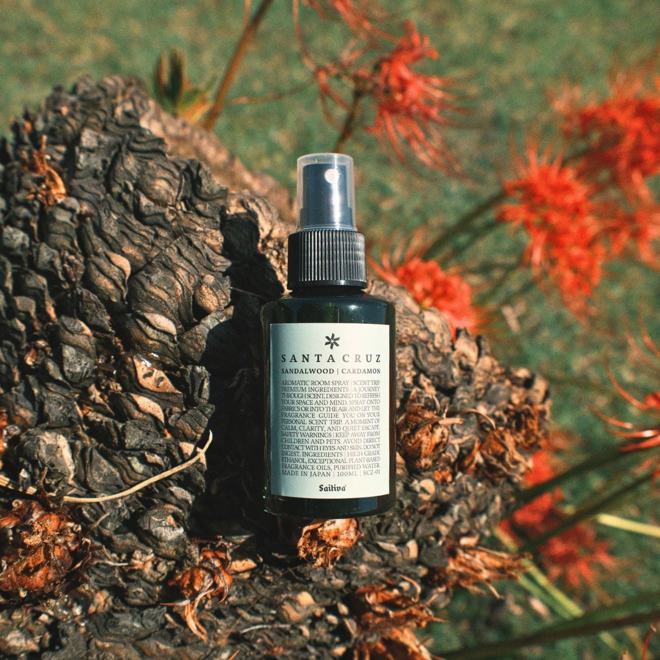 ルーム＆ファブリックスプレー SANTA CRUZ 100ml