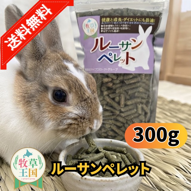 牧草王国 ルーサンペレット 300g