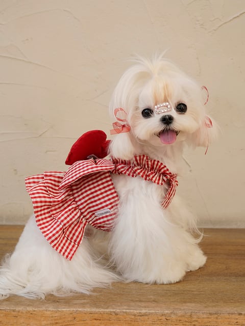 犬服 ぷっくりハート刺繍 デニム風ワンピース ジャンパースカート