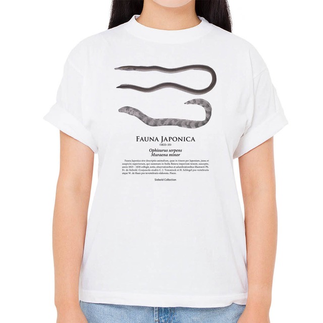 【ダイナンウミヘビ・アミメウツボ】シーボルトコレクション魚譜Tシャツ（高解像・昇華プリント）