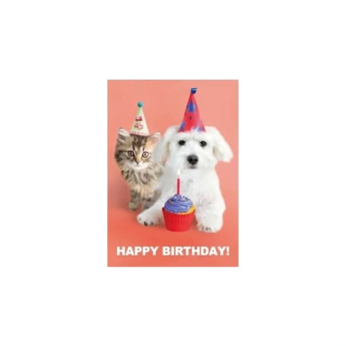 アニマル　ポストカード　HappyBirthday