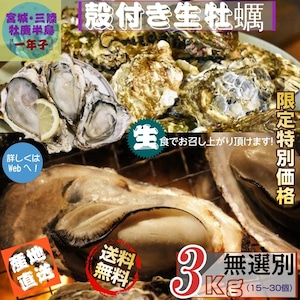 宮城県三陸・牡鹿半島産 殻付き生牡蠣 無選別 ３kg /箱 産地直送 送料無料