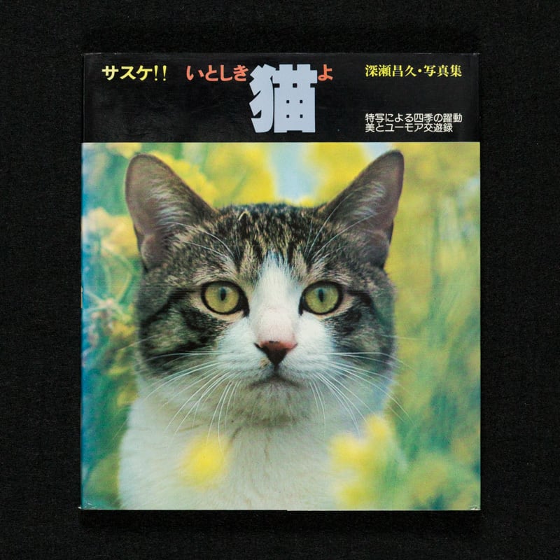 サスケ!! いとしき猫よ｜深瀬昌久 | Sulis - 古書スリス -