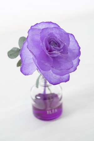 【送料無料】【新シリーズ】和紙の花ディフューザー「花笑み」 今紫