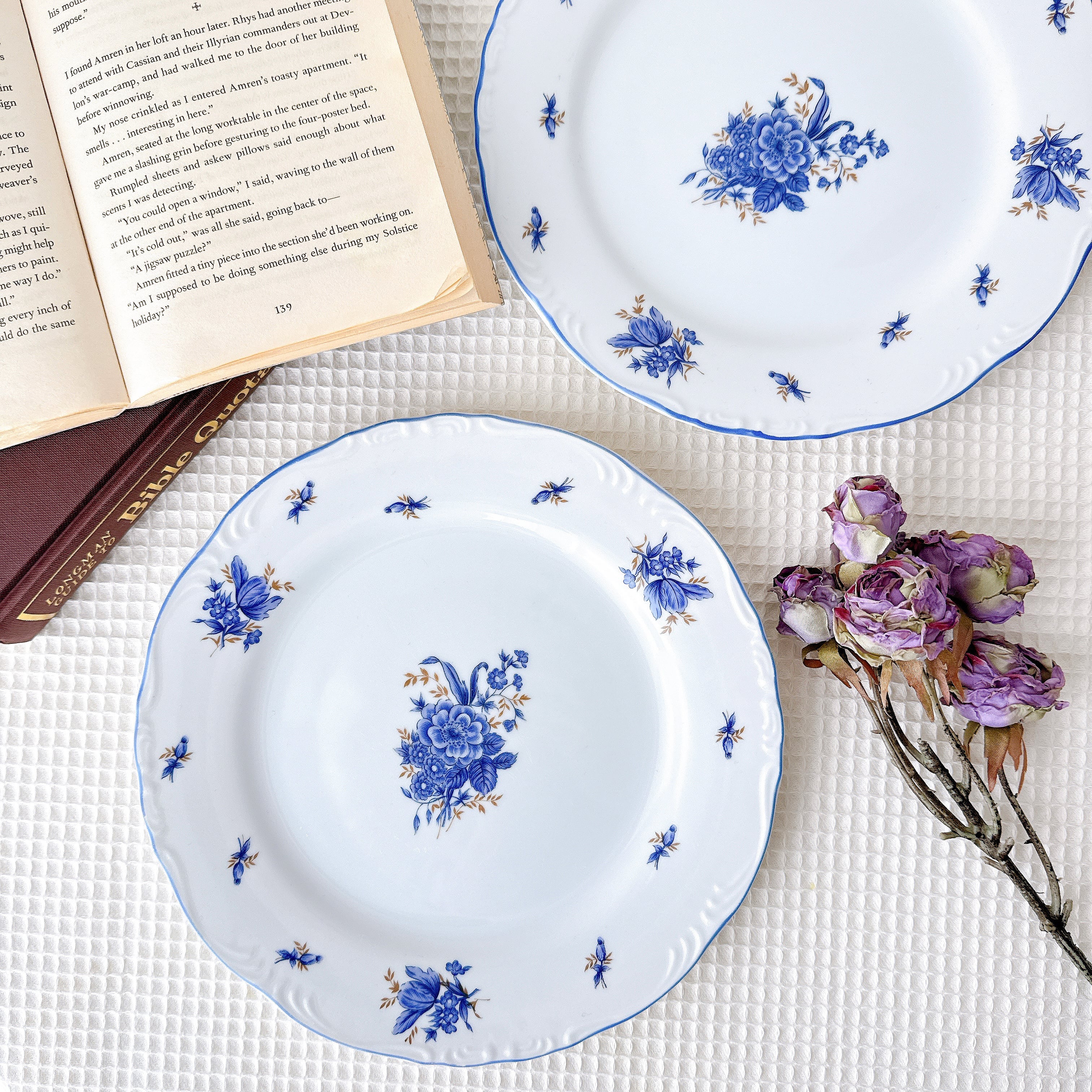 vintage】【Italy】Richard Ginori リチャードジノリ ボンジョルノ