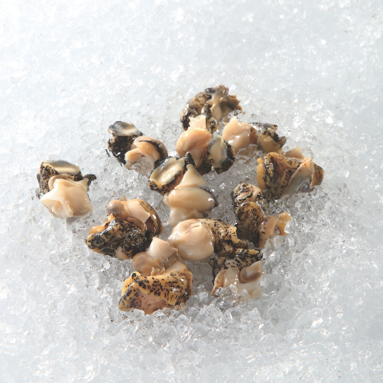 北海道襟裳産 浜茹でつぶ貝 250g