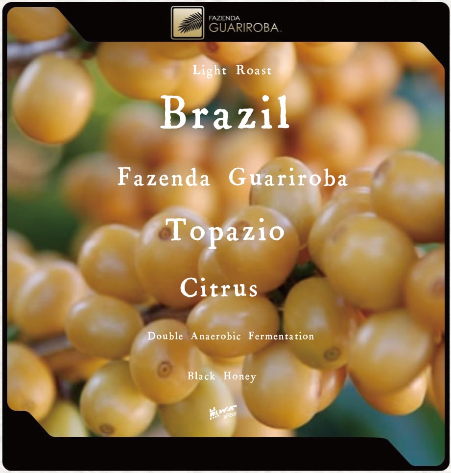 200g」Brazil - Fazenda Guariroba Topazio Citrus Double Anaerobic