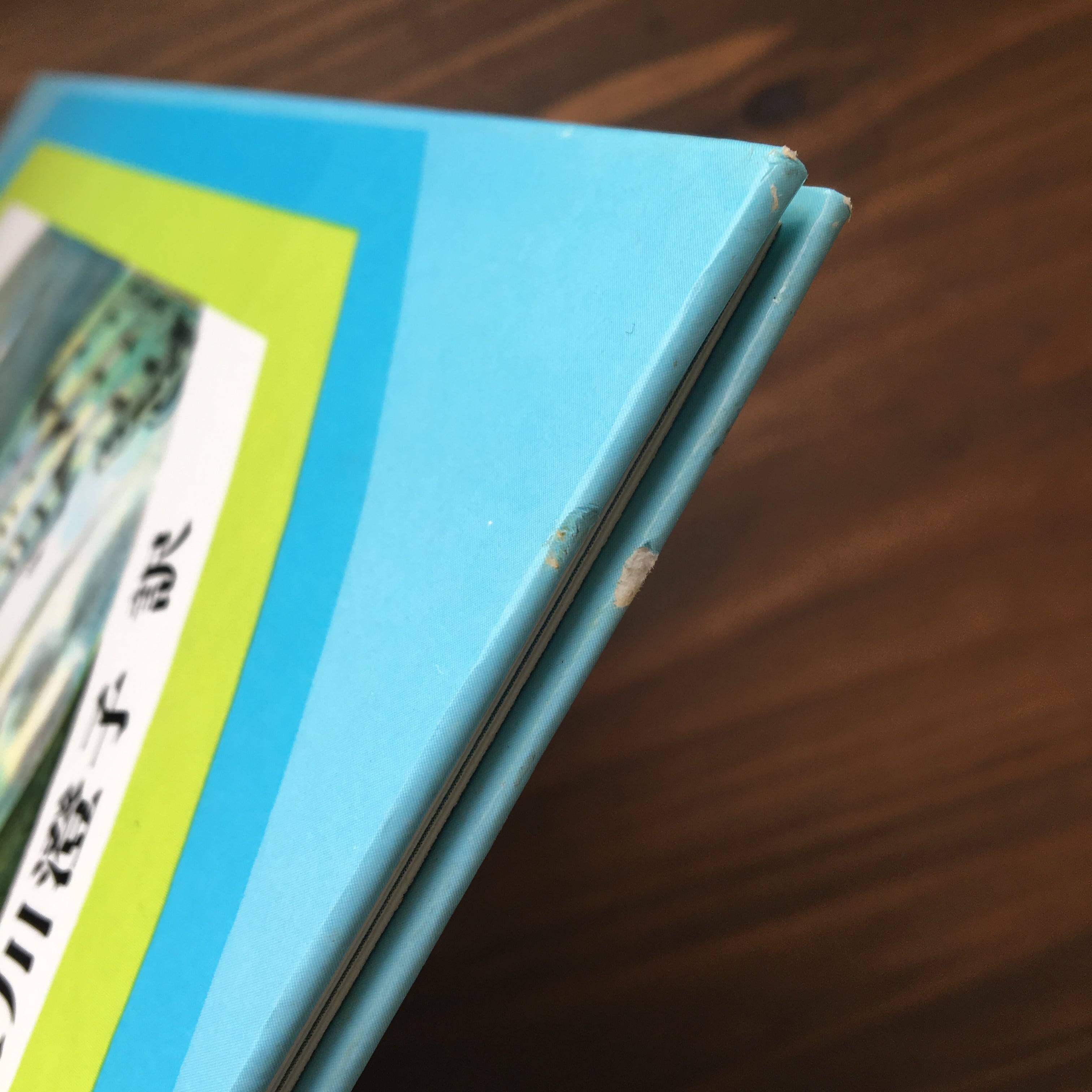 あめのひ（ユリ―・シュルヴィッツ作・画　矢川澄子訳）