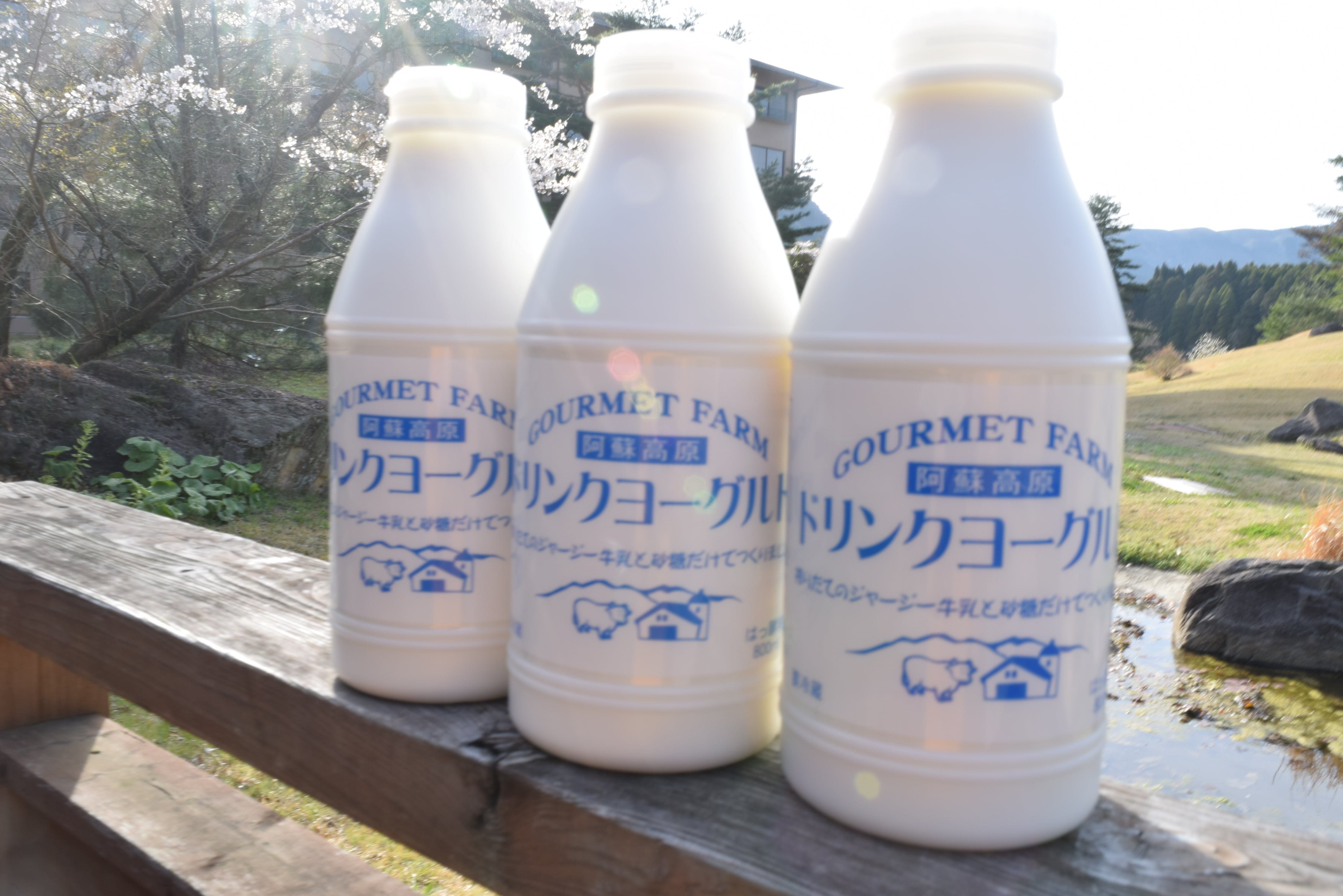 期間限定10 ｏｆｆ ドリンクヨーグルト12本セット シェアパック アーデンホテル阿蘇