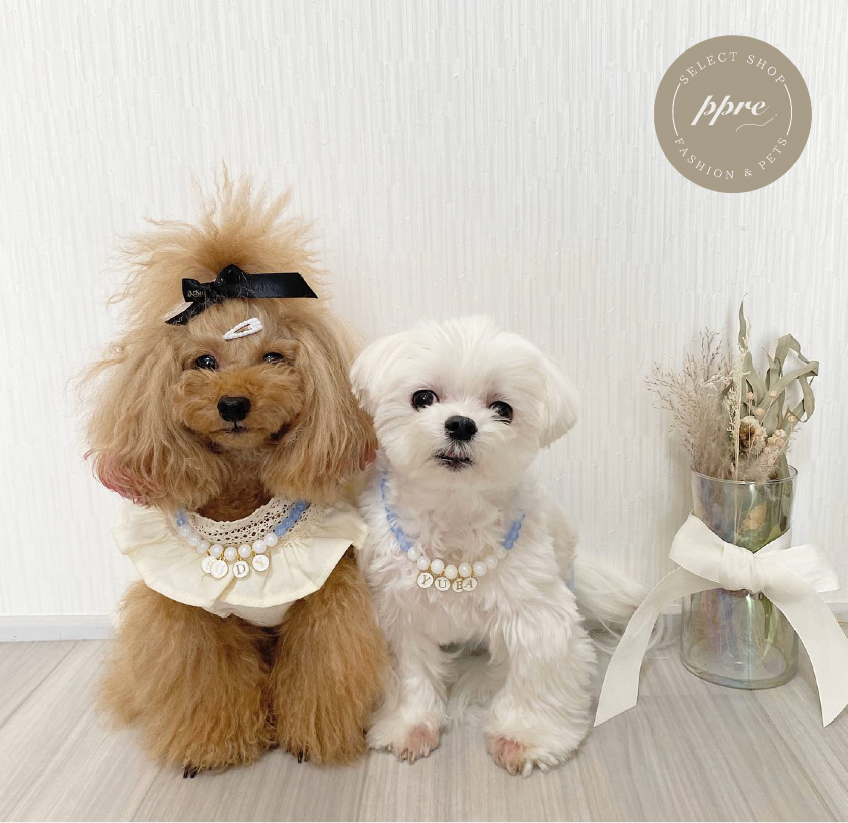 おなまえ パール ネックレス 予約 犬 猫 名入れ 首輪 ペット アクセサリー Select Shop Ppre 犬服 韓国 ファッションインテリアのお店