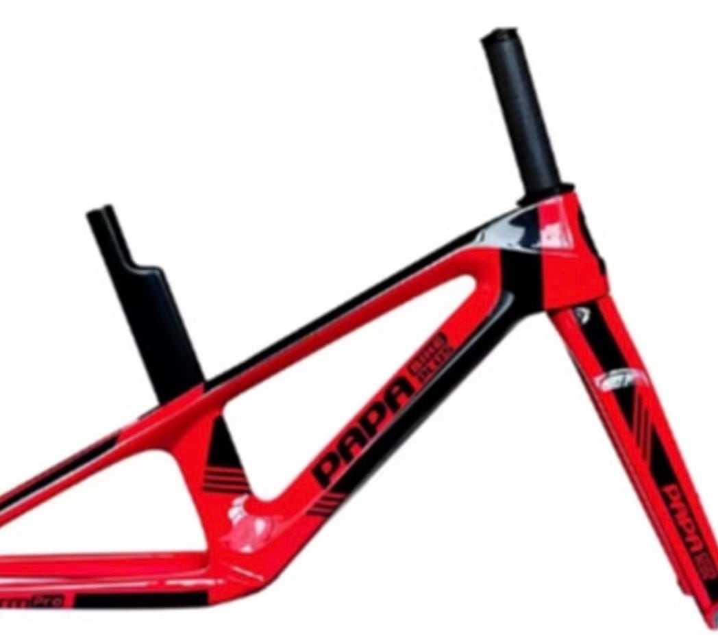➖ STORM PRO ➖ PAPABIKE CARBON FRAME | sparkle2021