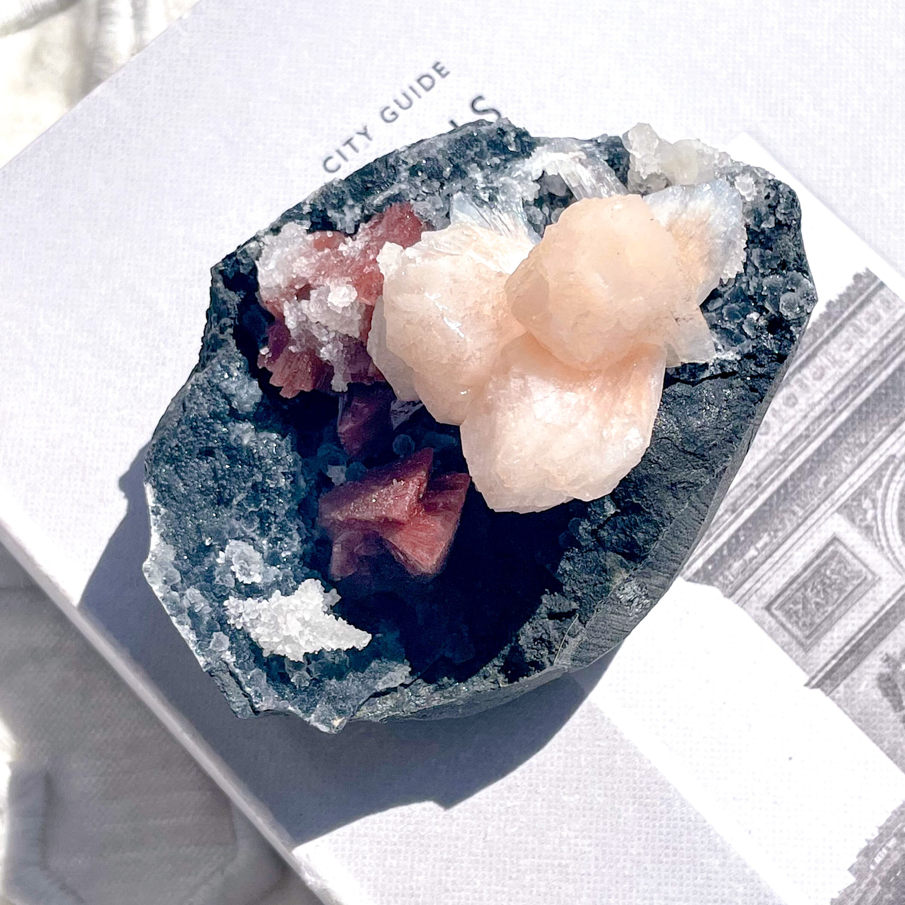 Pink & Red Stillbite ✧ ピンク&レッド スティルバイト | FLUXY