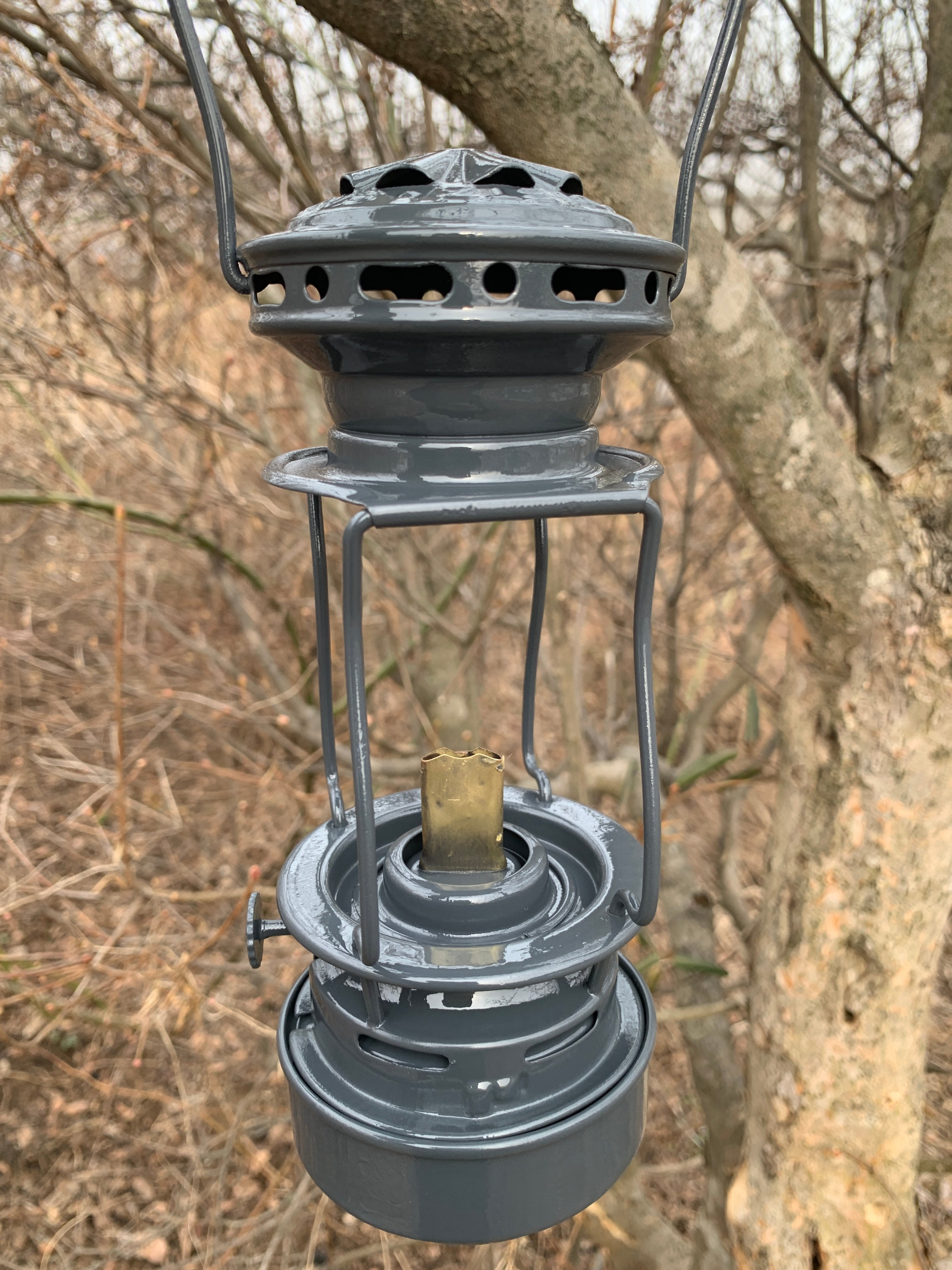 Oldman's lantern