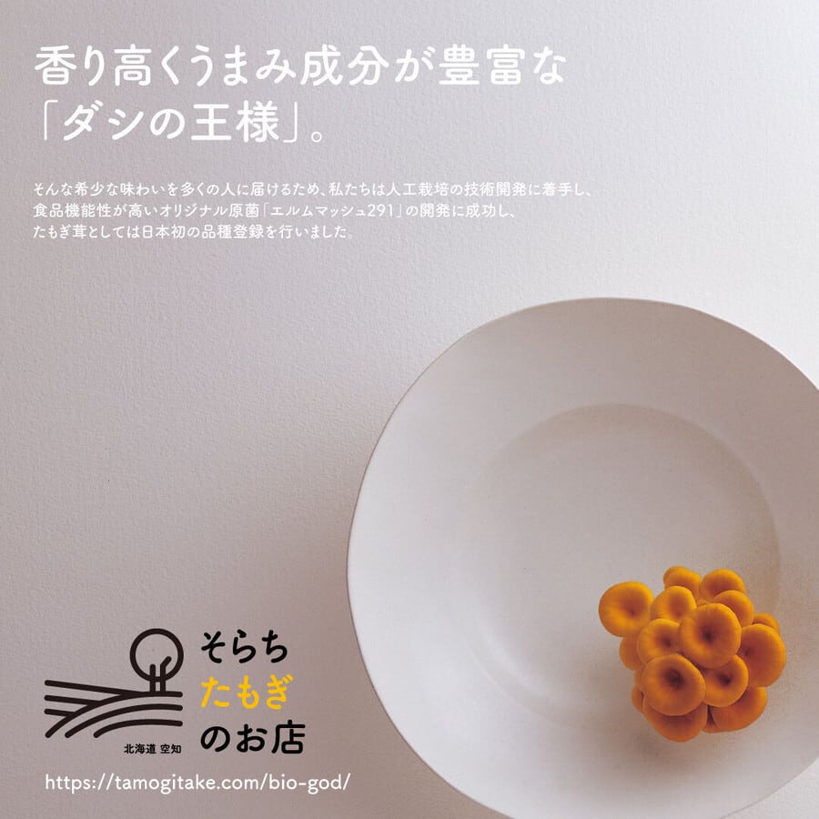 たもぎ茸石突乾燥パウダー 50g×3袋【北海道産 そらちたもぎ