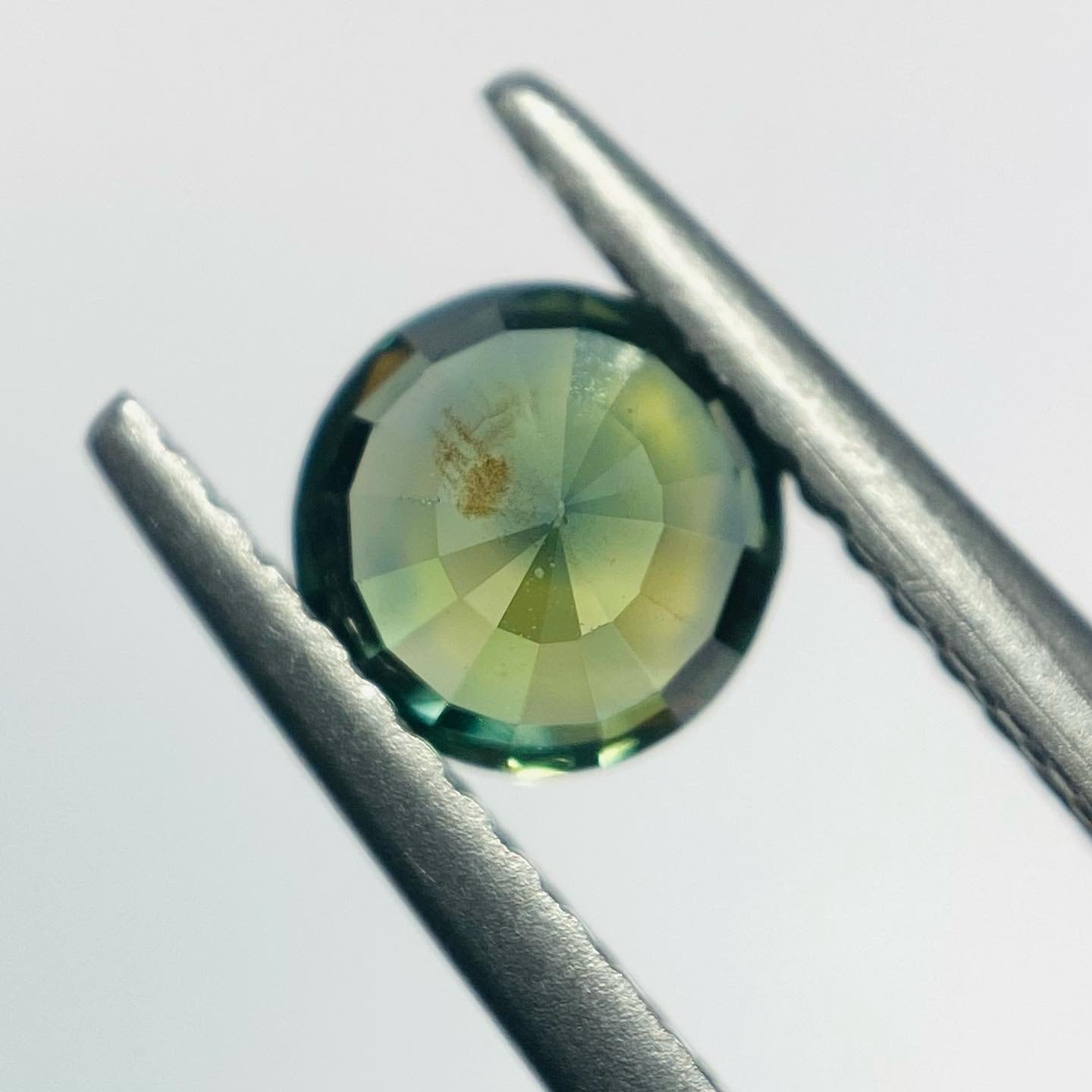 深い森 サファイア2