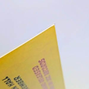 ⚡️SPECIAL LIMITED⚡️ ちょうどいいB4ポスター 【 BLINK-182 ( ブリンク ワン エイティートゥー ) 】 『 20 Monroe Live 』 POSTER / ポスター 〚アメリカン雑貨 アメトイ〛