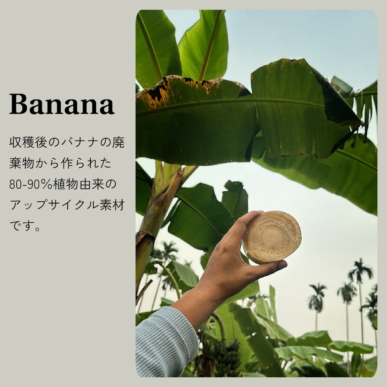 【アウトレットセール】Legato コンパクト財布 バナナ タン