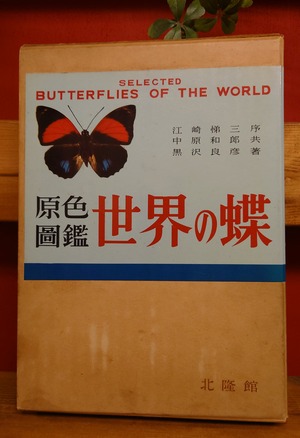原色図鑑　世界の蝶