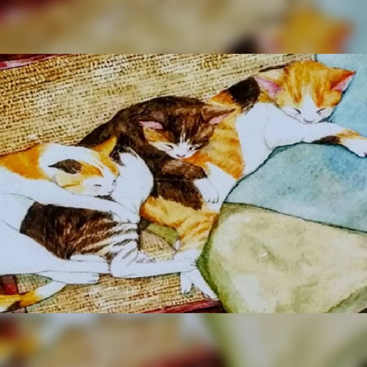 国内製造】B4 四角 tei-072『猫団子 三つの物語』塚本禎子の