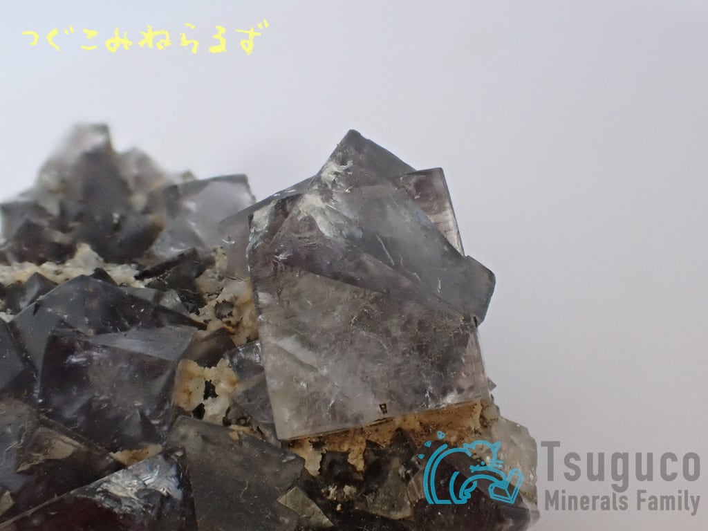 フローライト 蛍石 Fluorite イギリス TM-0038