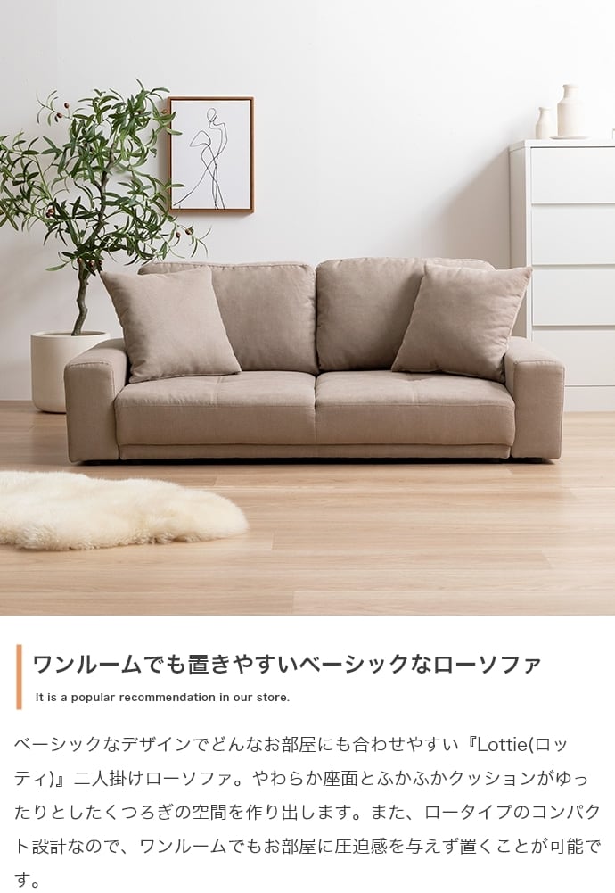 2人掛け　ローソファ 楽天市場】2Pローソファ 洗える 2人掛け ロータイプ カバー カバー